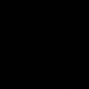 Meet your Posher, Hollie